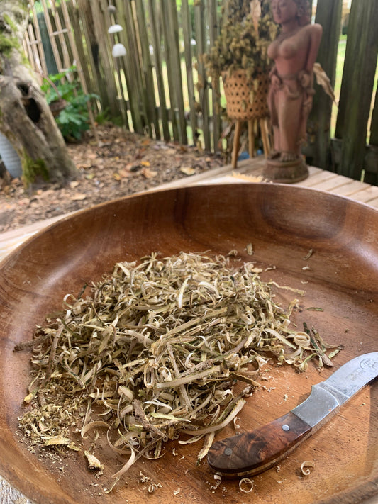 Basic Herbalism & Foraging Classes