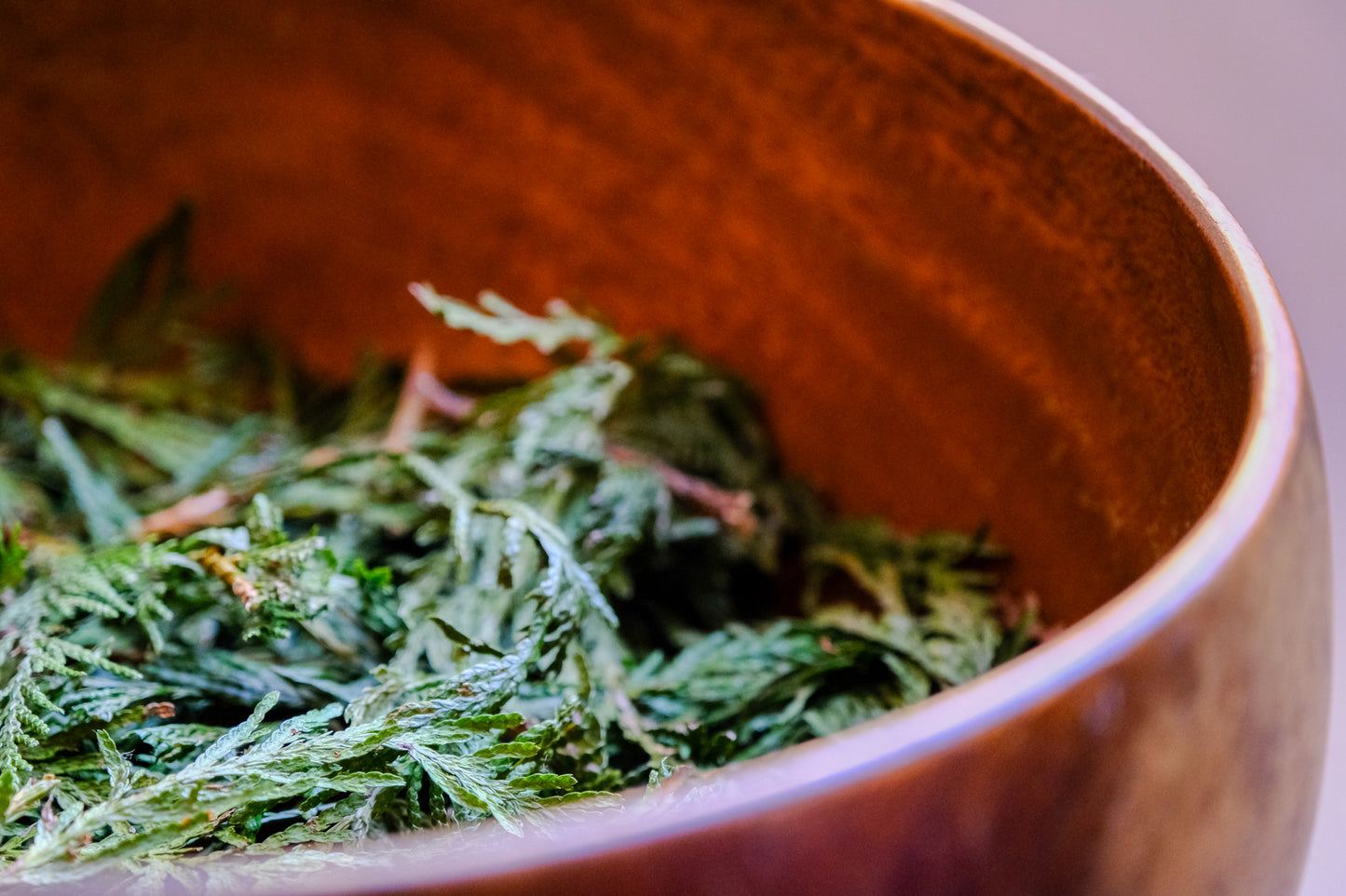 Basic Herbalism-Syrups, Oils, and Teas