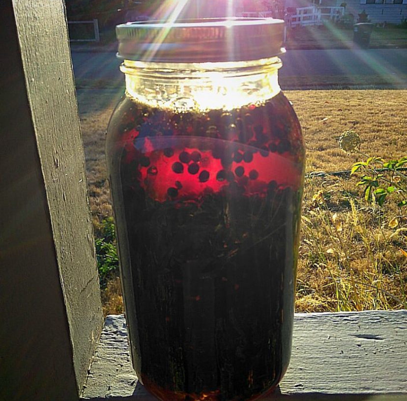 Basic Herbalism-Elixirs, Oxymels, & Honeys