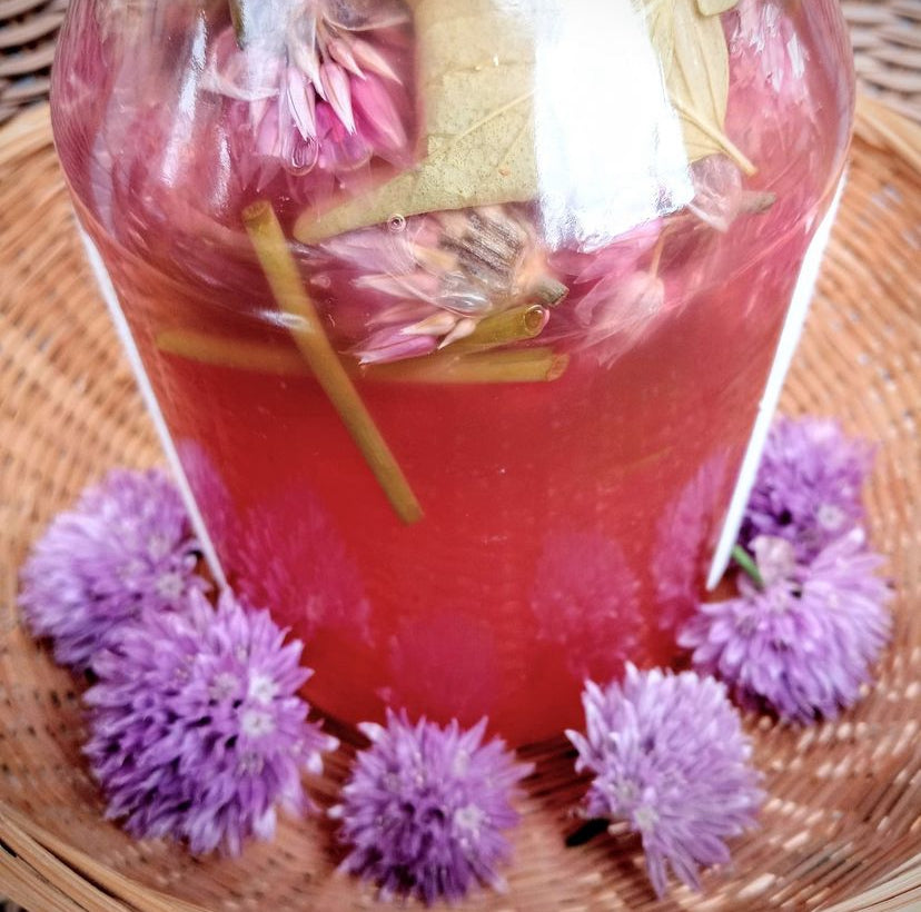 Basic Herbalism-Tinctures, Vinegars, and Glycerin